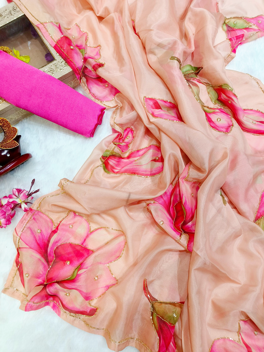 Beautiful Tabby Organza saree