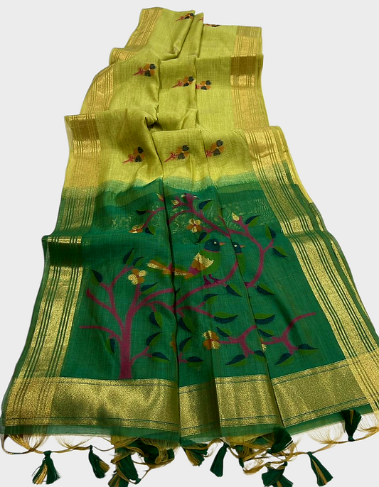 Soft Muga Cotton saree with Jamdani pallu